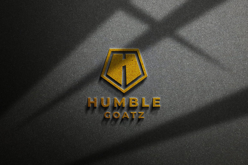 3d 金石标志logo样机